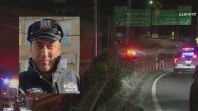 NYPD officer killed in hit-and-run on Long Island Expressway