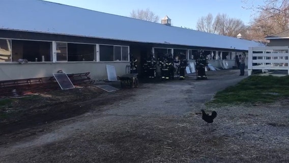 2 horses die in barn fire at Belmont Park