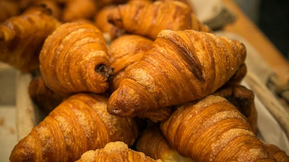 'Creature' lurking in tree terrorizing Poland town turns out to be a croissant stuck in a tree