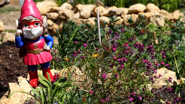 Garden gnome shortage strikes due to pandemic and Suez Canal blockage
