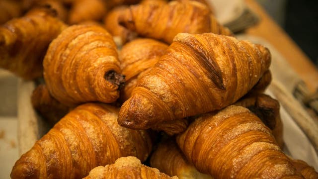 'Creature' lurking in tree terrorizing Poland town turns out to be a croissant stuck in a tree