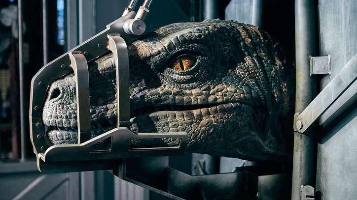 Behind-the-teeth: Inside look at queue line for Jurassic World VelociCoaster - Vimarsana News