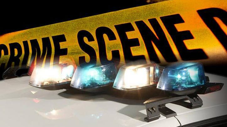 Baby critically injured in hit-and-run crash - Vimarsana News