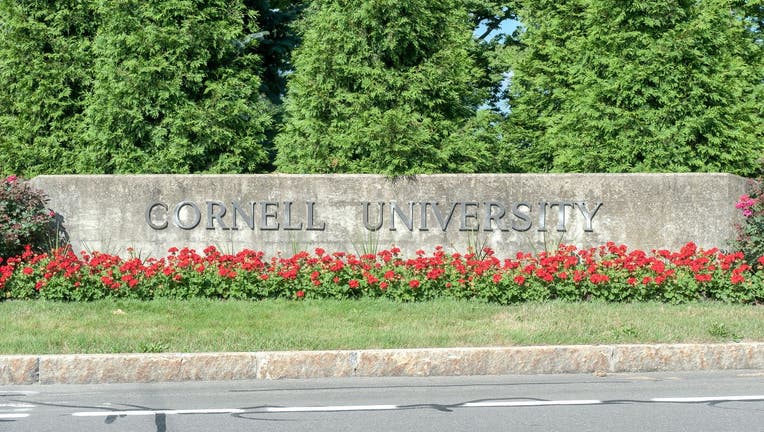 Cornell University (July 2013)