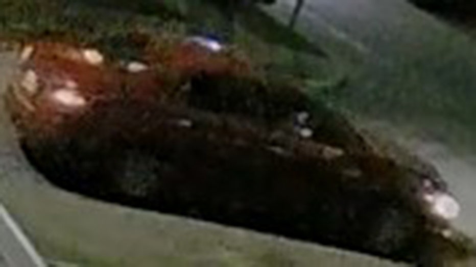 Grainy image of a red car