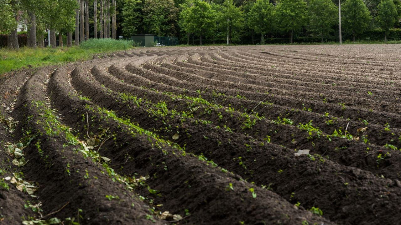Belgian farmer made France smaller by accident when he moved a rock: Report - Vimarsana News