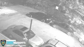 VIDEO: Police searching for gunman who shot, killed 17-year-old in the Bronx