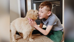 ‘Match made in heaven’: Boy with prosthetic leg adopts dog with missing paw