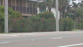 400-pound loggerhead turtle killed on Florida roadway