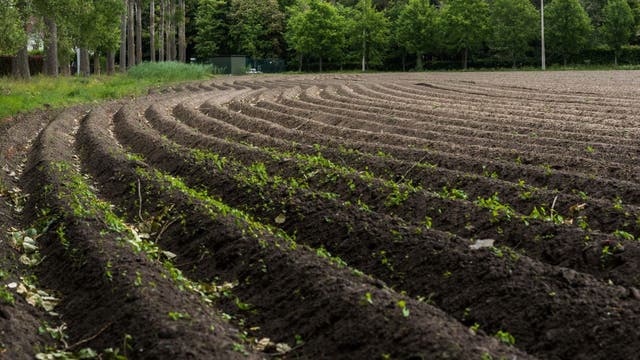 Belgian farmer made France smaller by accident when he moved a rock: Report