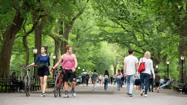 NY COVID positivity rate falls to lowest number since pandemic began