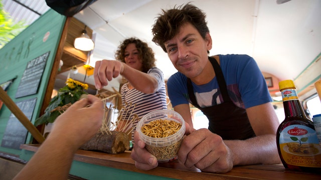 EU nations put mealworms on the menu