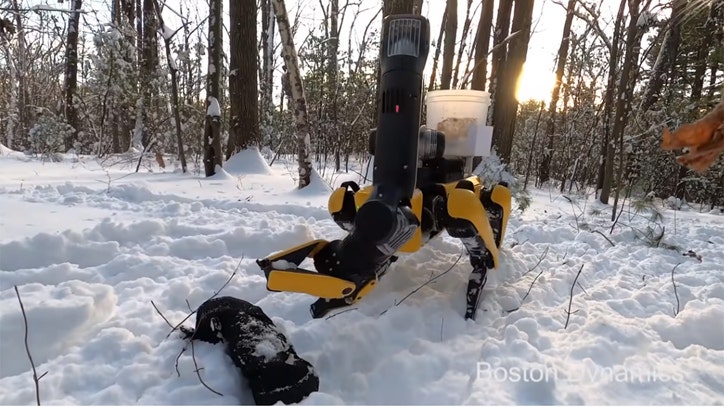 Robo dog can now pick-up items - Vimarsana News