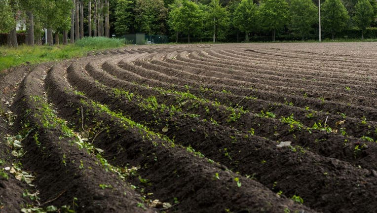 Dry agricultural fields can be seen in Laarne - Belgium