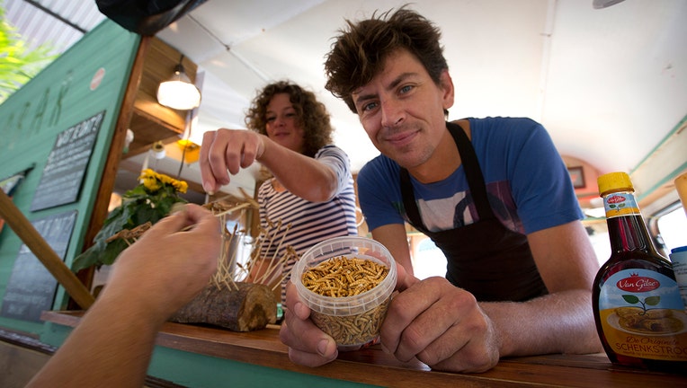 Microbar food truck owner Bart Smit holds a container of yellow mealworms during a food truck festival in Antwerp, Belgium. Dried yellow mealworms could soon be hitting supermarket's shelves and restaurants across Europe.(AP File Photo/Virginia Mayo)