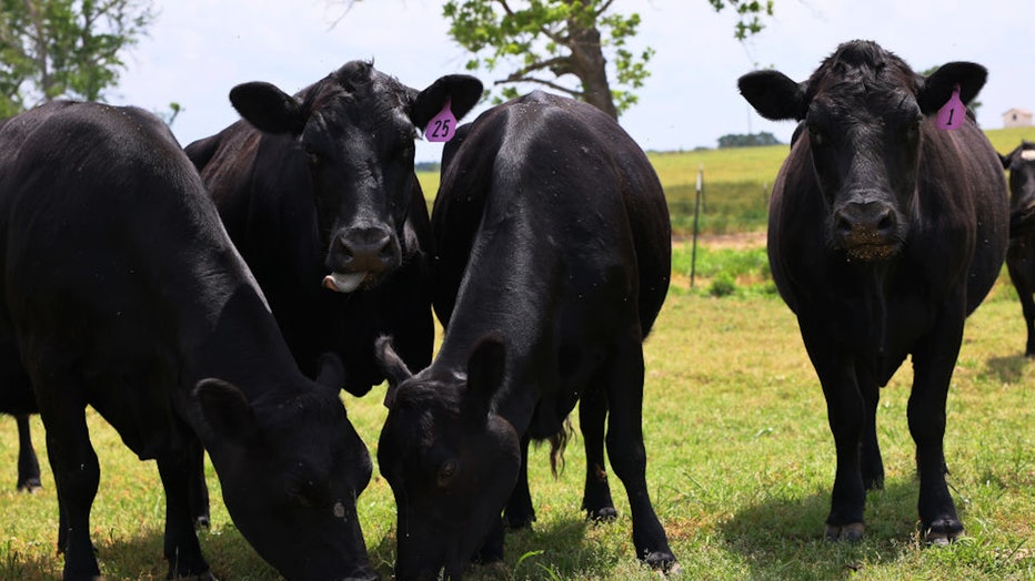 Farm pollution