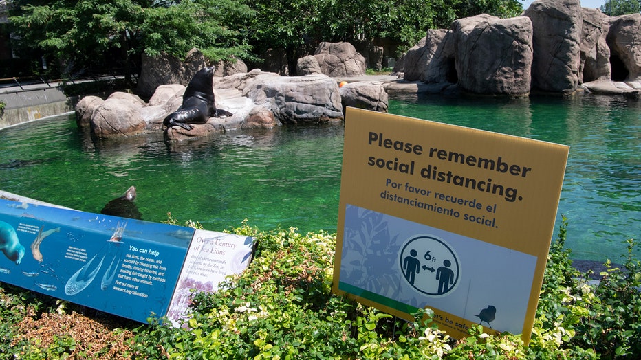 A sea lion habitat and signs about mask wearing and social distancing