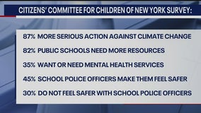 Survey: Young voters in NYC focused on climate change, public schools