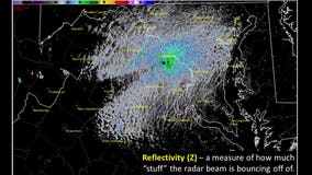 Cicadas could be cause of large mass on radar, NWS says