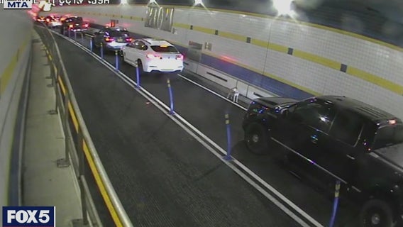 VIDEO: Dog dashes through Queens–Midtown Tunnel, dodging cars and cops