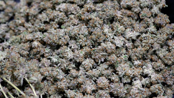 Weed company seeking paid intern to test products, write reviews