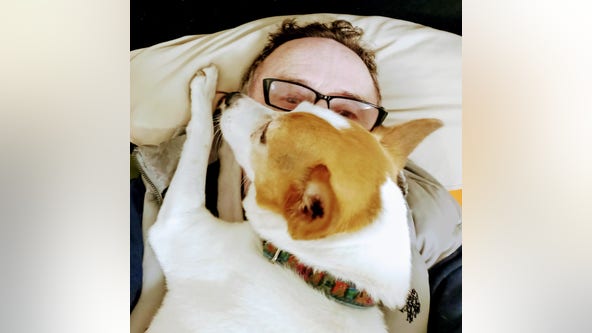 'She's all I had:' Man speaks out after stranger kills his dog in random downtown Seattle attack