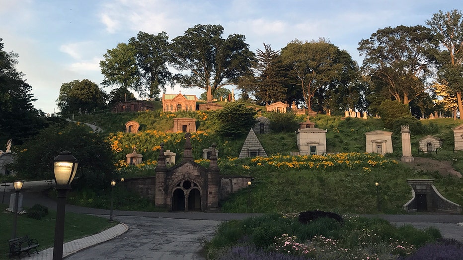 Headstones and monuments on a green hillside of a cemetery