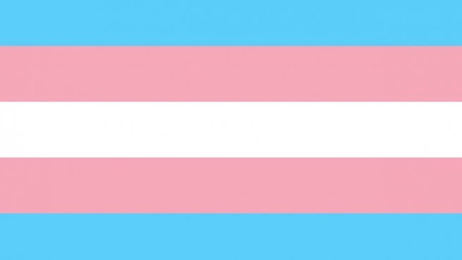 transgender-flag.jpeg