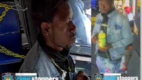Elderly man assaulted on MTA bus in the Bronx
