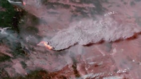 Bootleg Fire: Smoke from Oregon blaze seen from space in satellite video
