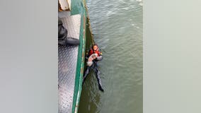 Man rescued after jumping into Hudson River to rescue his dog