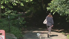 Creep attacks 3 women in an hour in same Manhattan park
