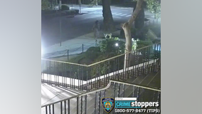 Vandal smashes statues outside of Queens church