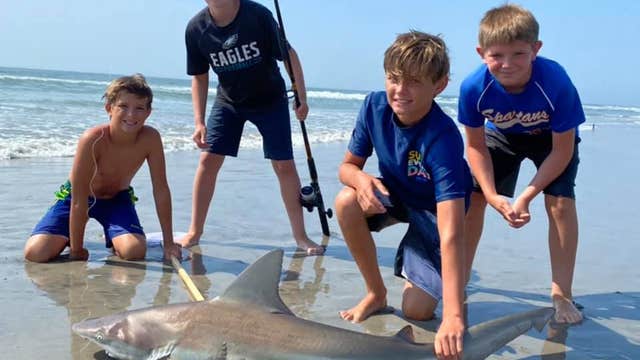 12-year-old reels in shark on NJ beach as crowd watches in awe