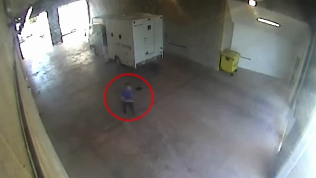 Video: Inmate escapes from prison van and hightails it for freedom