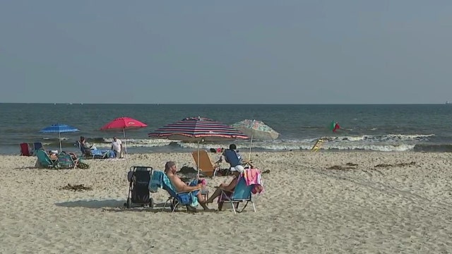 More sharks spotted at Nassau County beaches