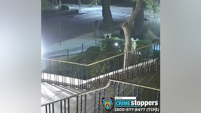 Vandal smashes statues outside of Queens church