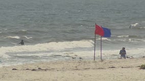 Another shark spotted near beach in Nassau County