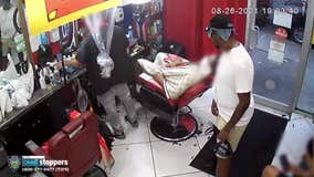 VIDEO: Armed robber steals from Bronx barber in the middle of haircut