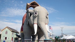 Jersey Shore's Lucy the Elephant will get new skin