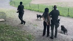 Woman arrested over unleashed dogs in NYC park