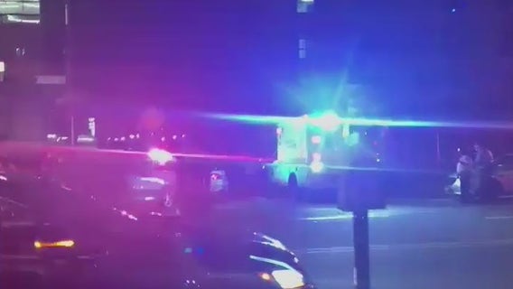 Man shot dead in Queens while sitting in car