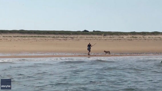 Fishermen rescue woman fending off aggressive coyote on Cape Cod beach