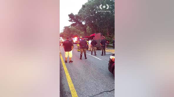 Horse trailer overturns on Belt