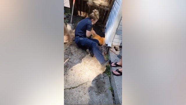 Police ‘dog whisperers’ rescue trapped pet under New York home