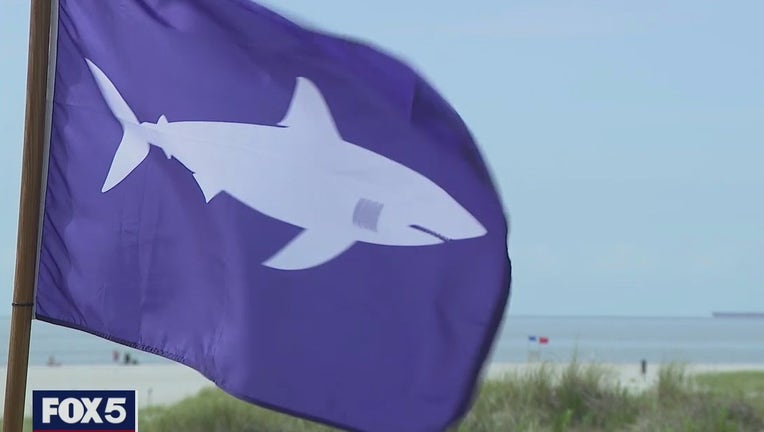 Shark warning flag