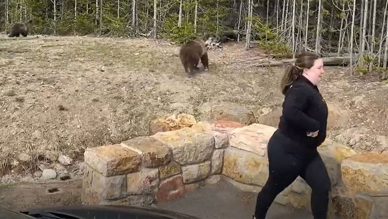 (Photo courtesy / Darcie Addington via National Park Service)