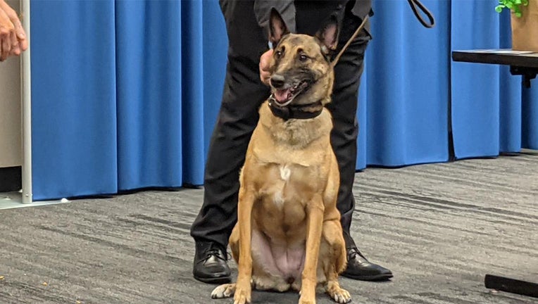 A retirement ceremony was held for FBI Newark Division K-9 Roxy.