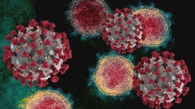 Say hello to 'Mu': New coronavirus strain arrives in the U.S.