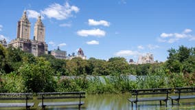 Ida Recovery Service Centers open across NYC